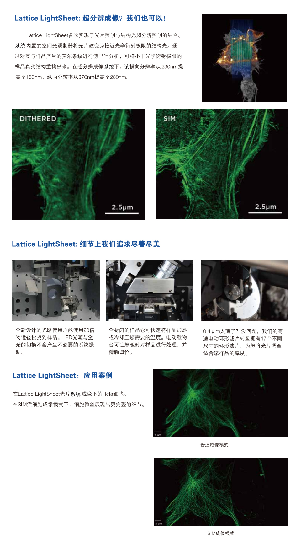 02-1  lattice lightsheet.jpg