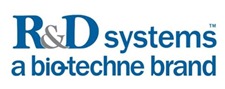 R&D